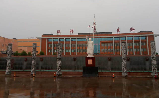 章丘豐源污水曝氣羅茨風(fēng)機(jī)用于瑞祥生物廠 章丘豐源污水曝氣羅茨風(fēng)機(jī)用于瑞祥生物廠